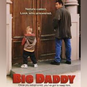 🎥 3 for $5 🎥 Big Daddy DVD
